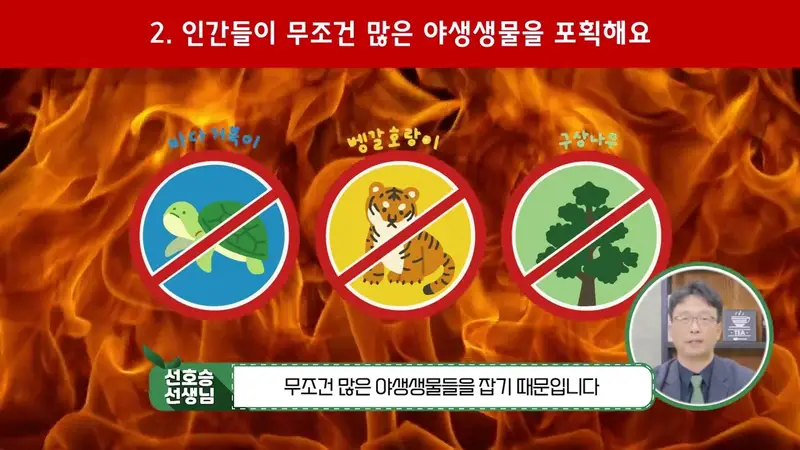 232가 만든 영상: 멸종위기 야생생물 보호